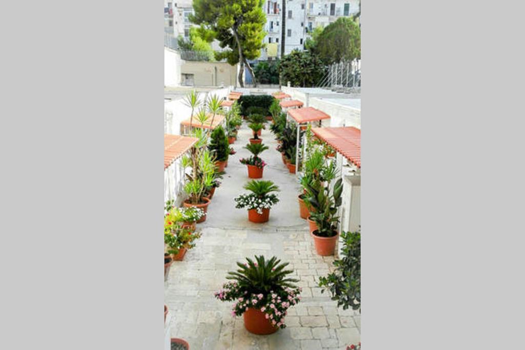 Al Cortile Apartment Bari Bagian luar foto